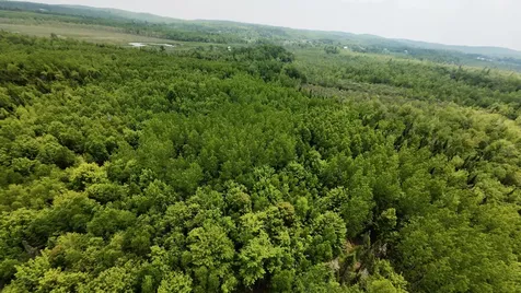 00 Babcock Road Newburgh ME 04444