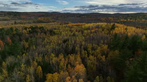 00 Babcock Road Newburgh ME 04444