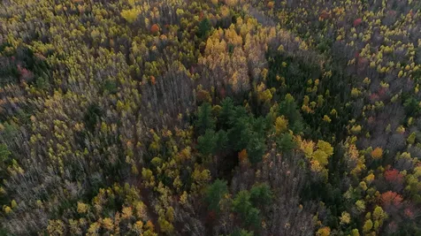 00 Babcock Road Newburgh ME 04444