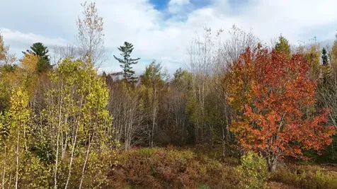 00 Babcock Road Newburgh ME 04444