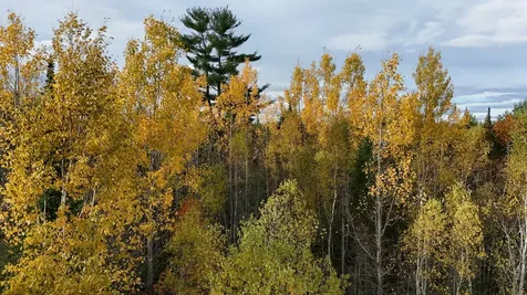 00 Babcock Road Newburgh ME 04444