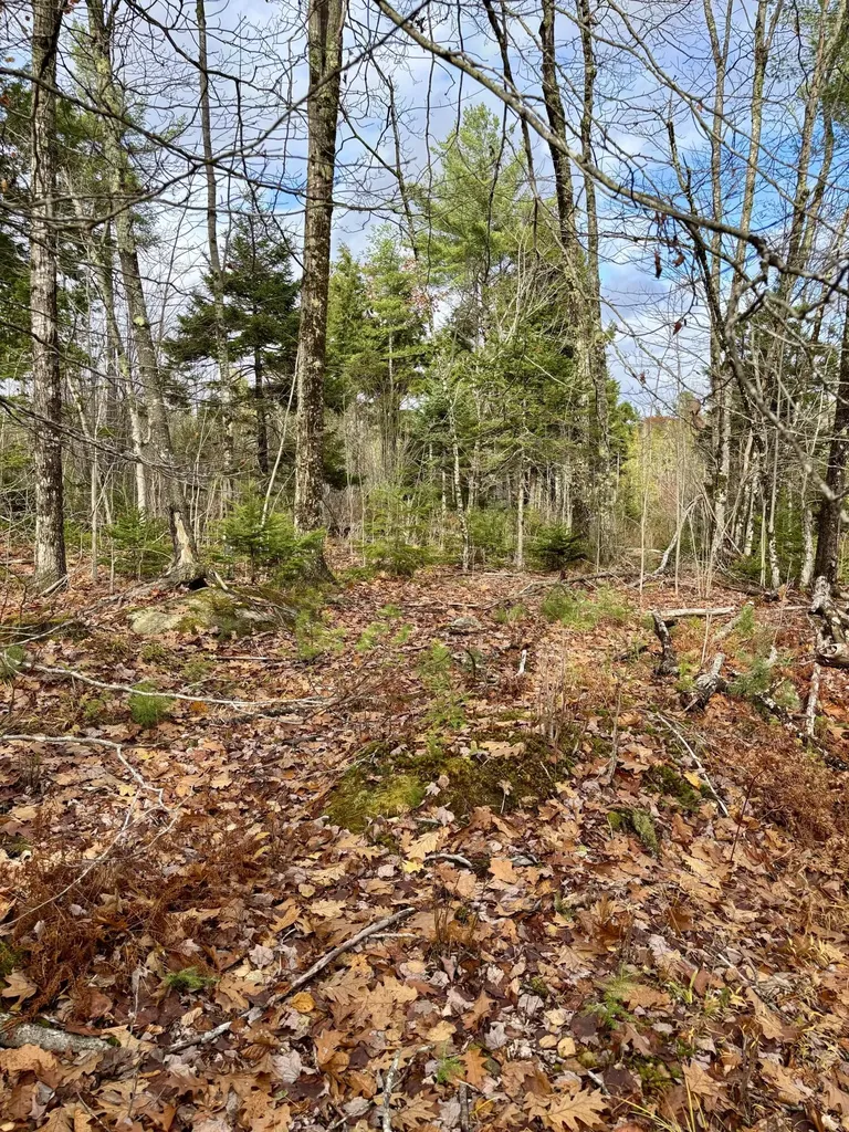 0 Millvale Road Bucksport ME 04416