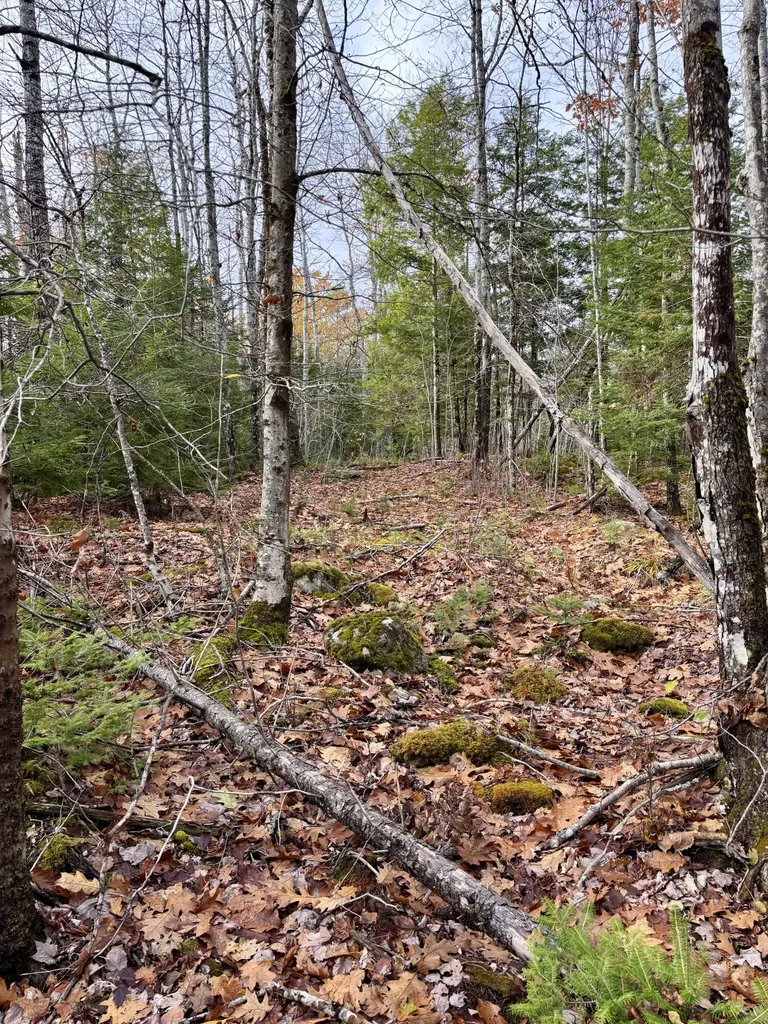 0 Millvale Road Bucksport ME 04416