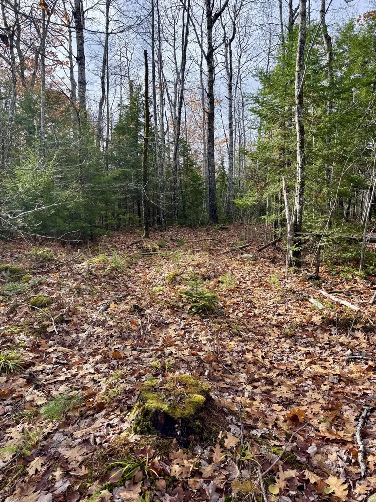 0 Millvale Road Bucksport ME 04416