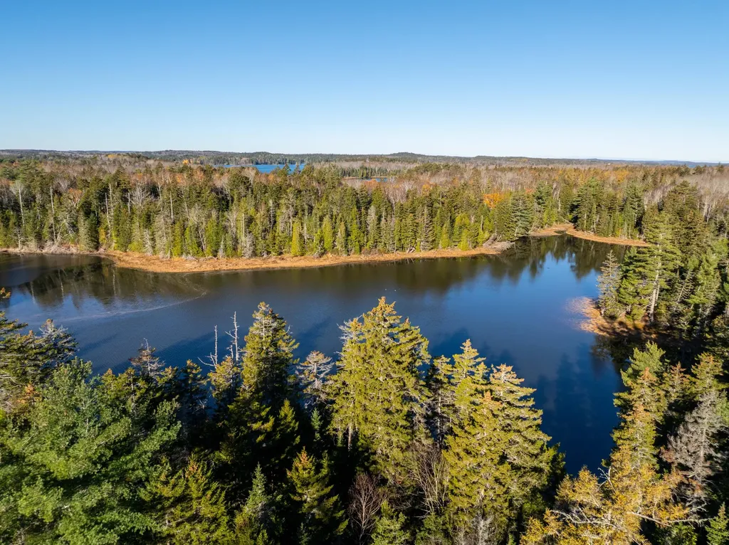 01-4 Wa035 Trescott Twp ME 04652