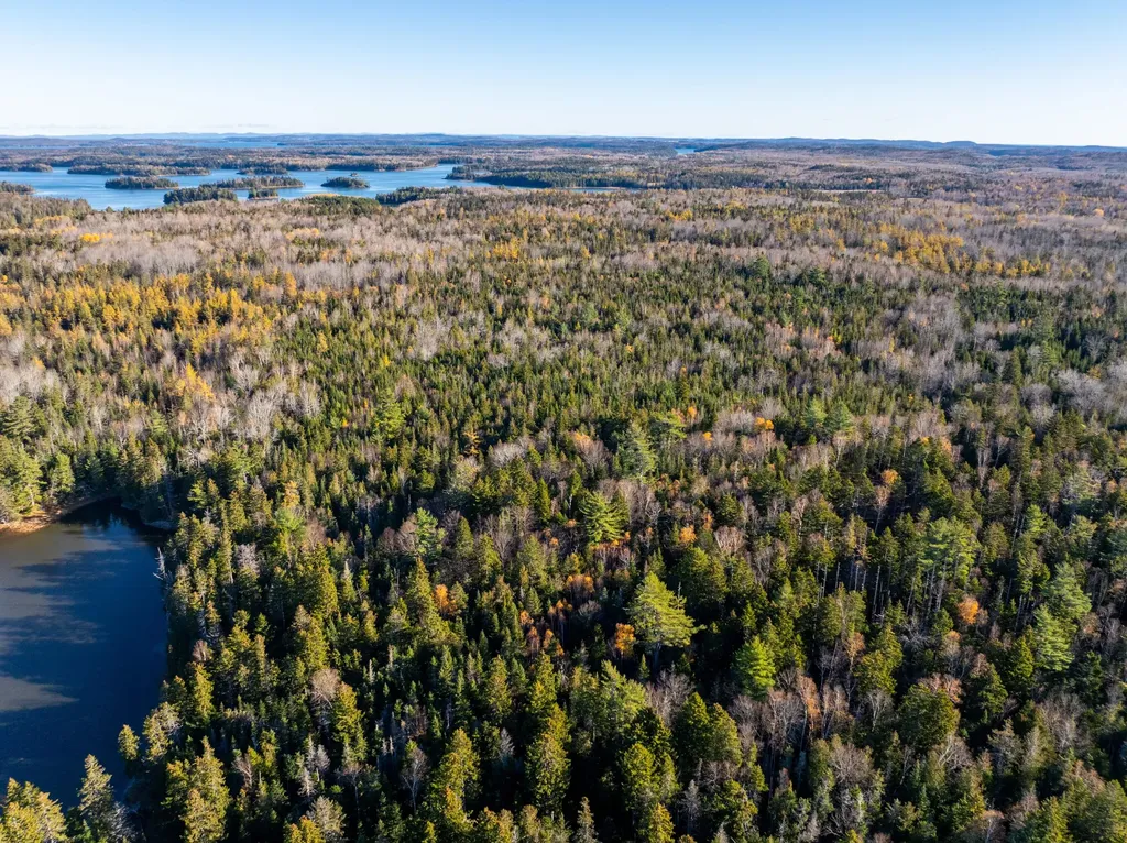 01-4 Wa035 Trescott Twp ME 04652