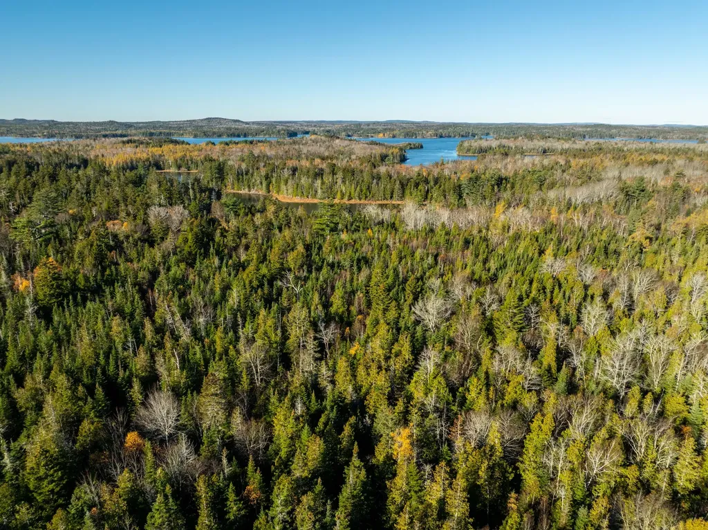 01-4 Wa035 Trescott Twp ME 04652