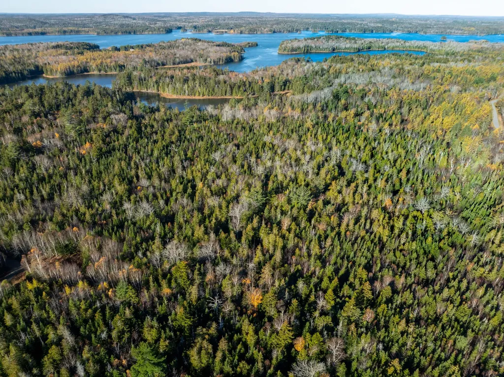 01-4 Wa035 Trescott Twp ME 04652