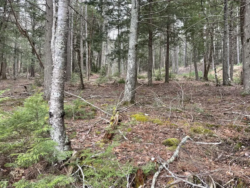 0 Wood Road Jefferson ME 04348
