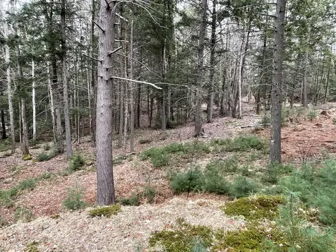 0 Wood Road Jefferson ME 04348