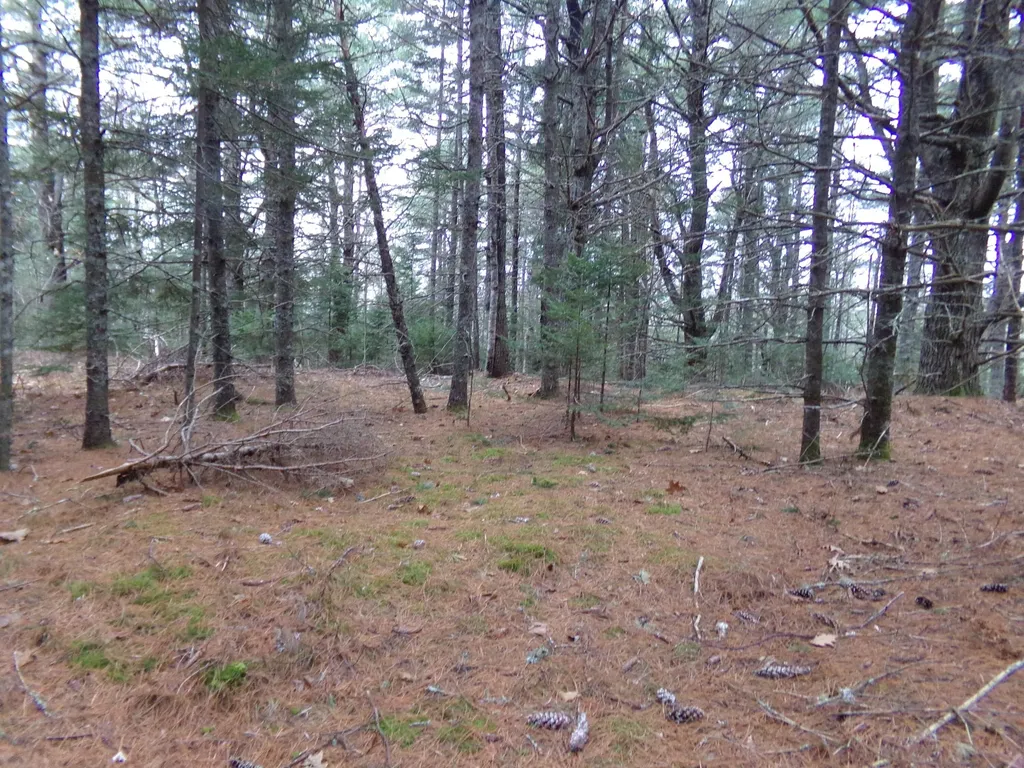 Lot 3e Rogers Point Road Steuben ME 04680
