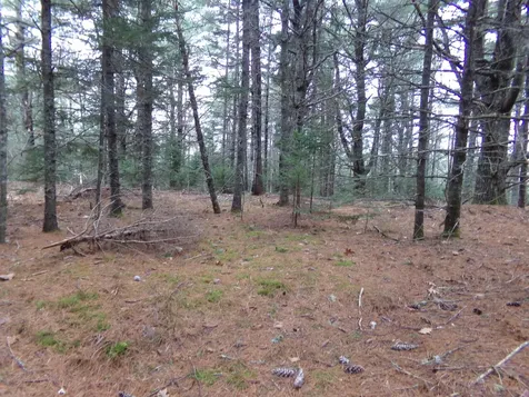 Lot 3e Rogers Point Road Steuben ME 04680