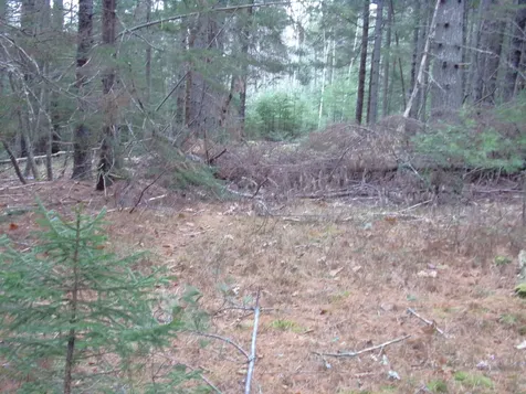 Lot 3e Rogers Point Road Steuben ME 04680