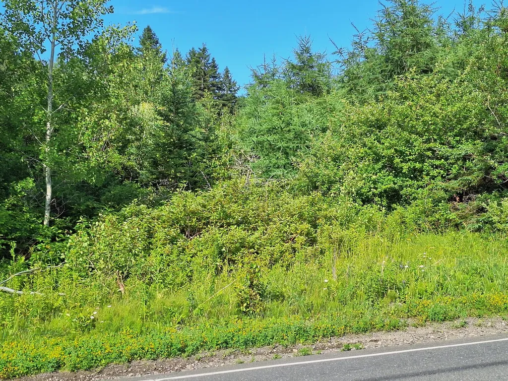 Lot 36-d Grimes Road Caribou ME 04736