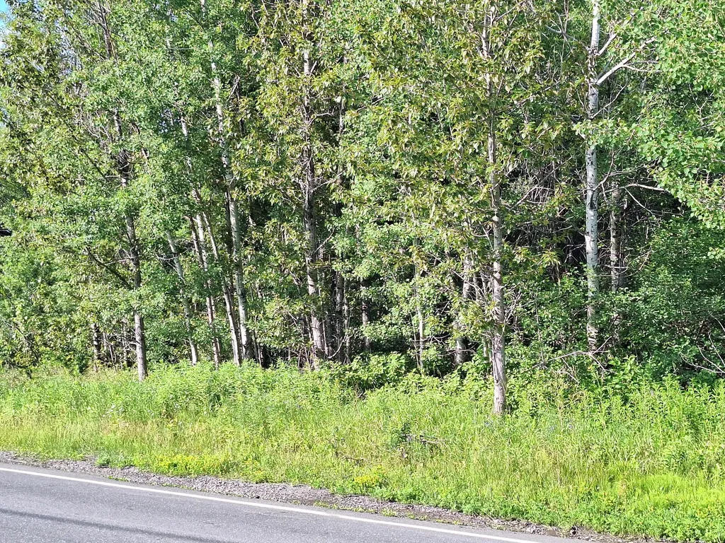 Lot 36-d Grimes Road Caribou ME 04736