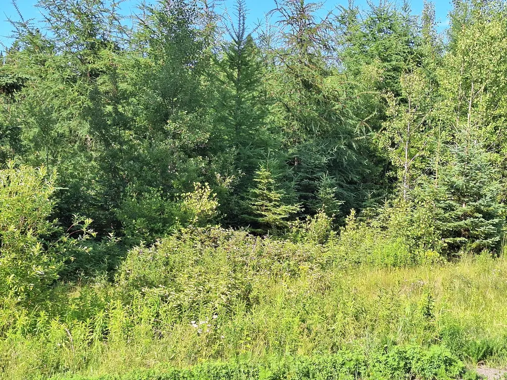 Lot 36-d Grimes Road Caribou ME 04736
