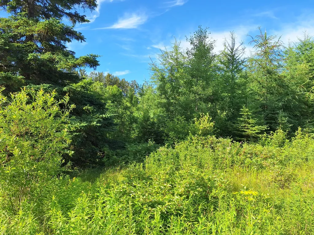 Lot 36-d Grimes Road Caribou ME 04736