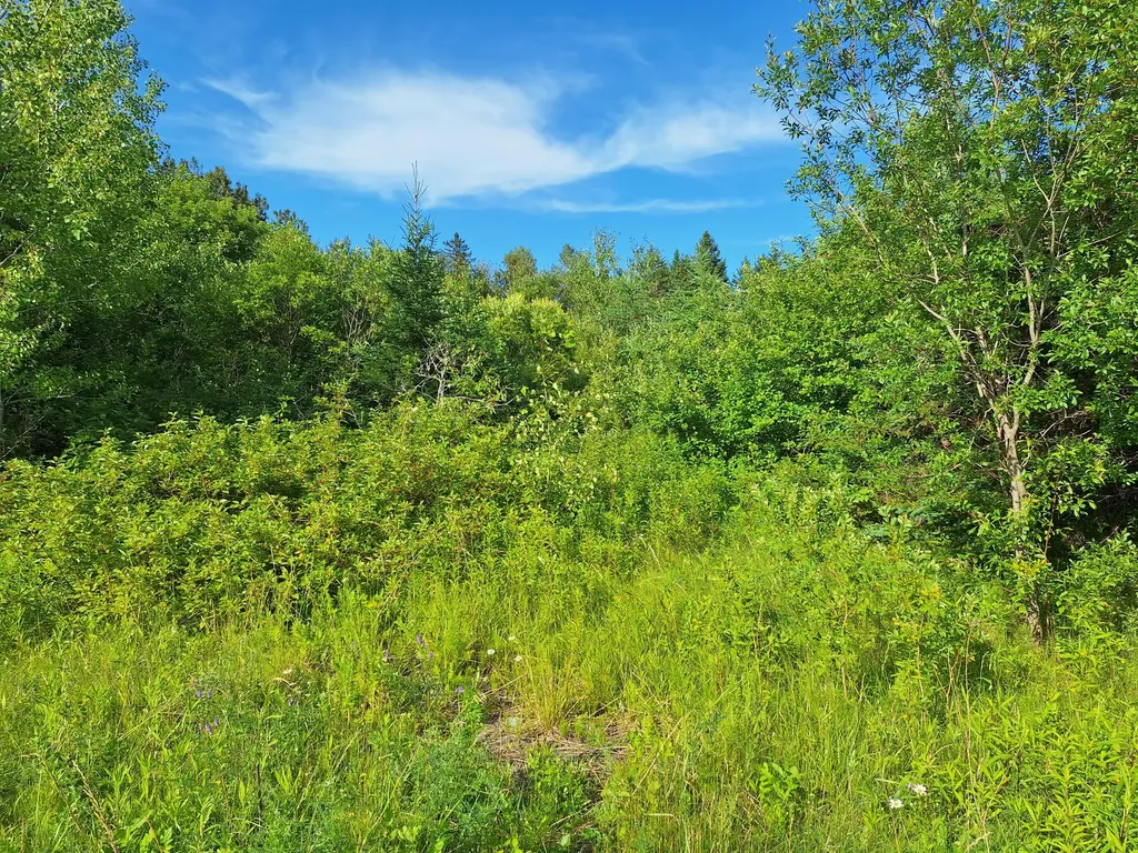 Lot 36-d Grimes Road Caribou ME 04736