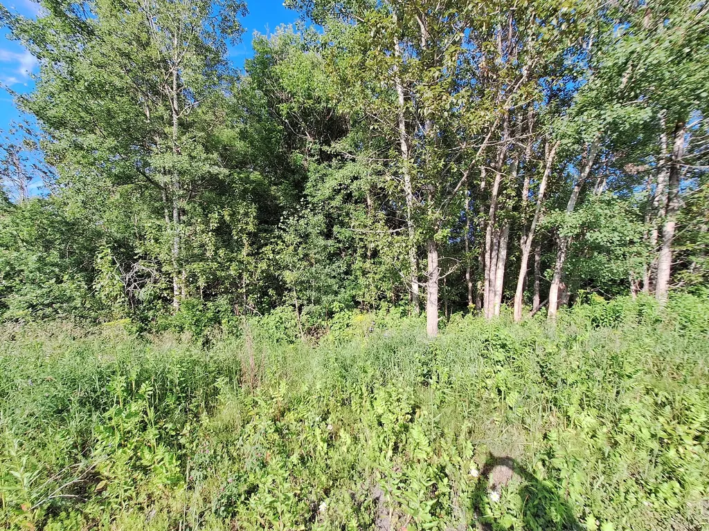 Lot 36-d Grimes Road Caribou ME 04736