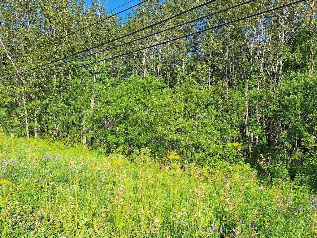 Lot 36-d Grimes Road Caribou ME 04736