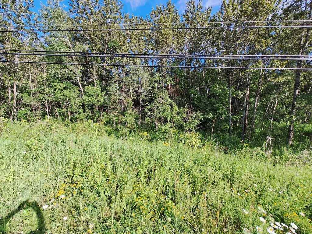 Lot 36-d Grimes Road Caribou ME 04736