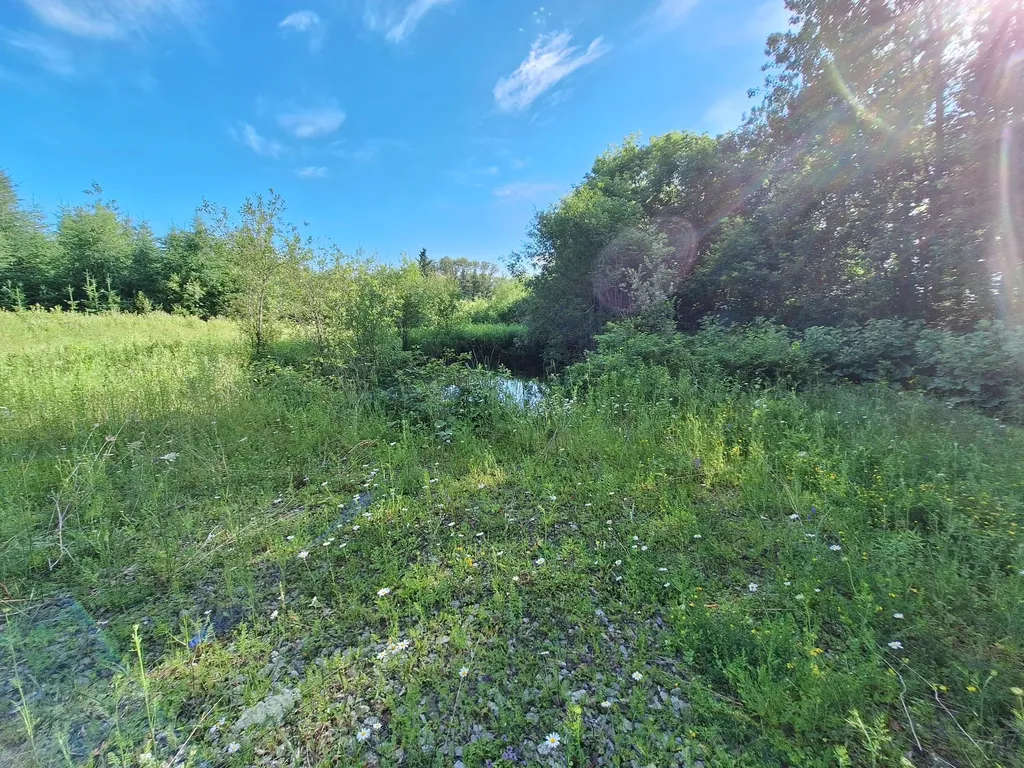 Lot 36-d Grimes Road Caribou ME 04736