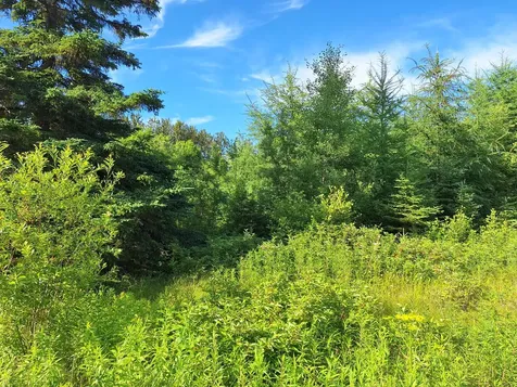 Lot 36-d Grimes Road Caribou ME 04736