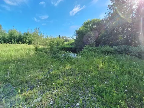 Lot 36-d Grimes Road Caribou ME 04736