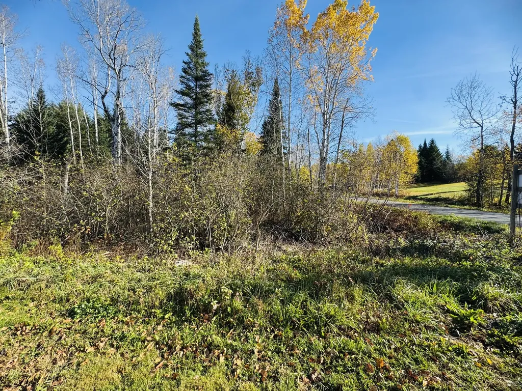 M2 L39-1 Pease Road Mapleton ME 04757