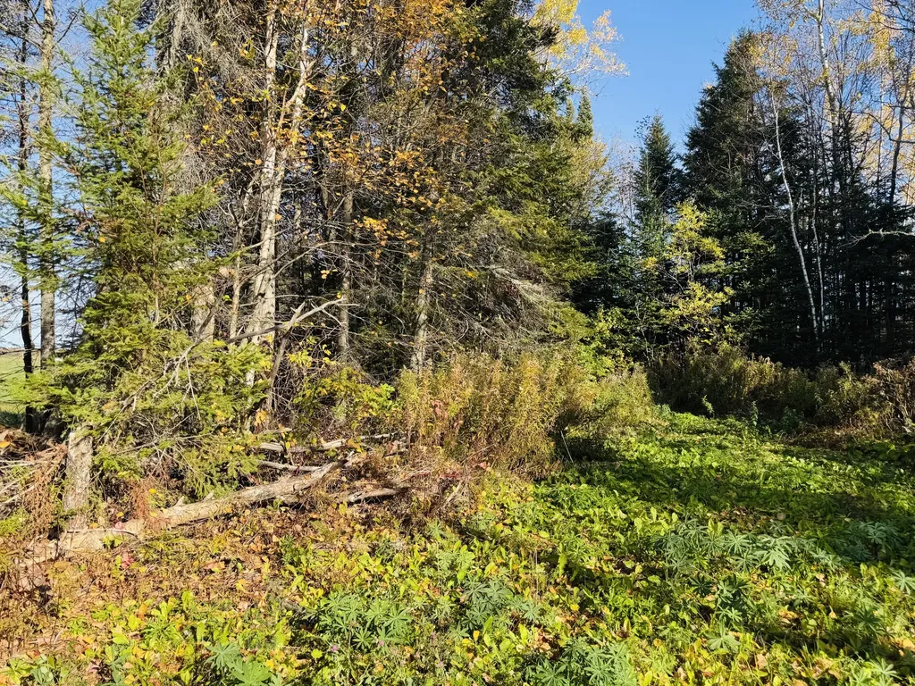 M2 L39-1 Pease Road Mapleton ME 04757