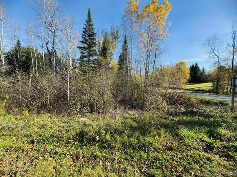 M2 L39-1 Pease Road Mapleton ME 04757