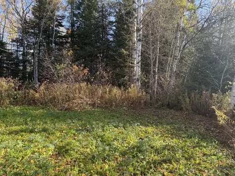 M2 L39-1 Pease Road Mapleton ME 04757