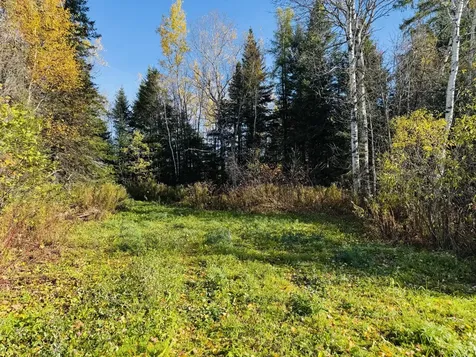 M2 L39-1 Pease Road Mapleton ME 04757