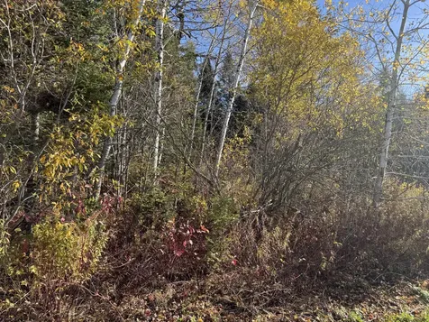 M2 L39-1 Pease Road Mapleton ME 04757