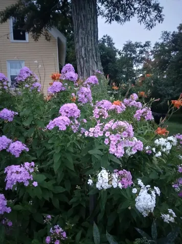 389 Higgins Road Pittsfield ME 04967