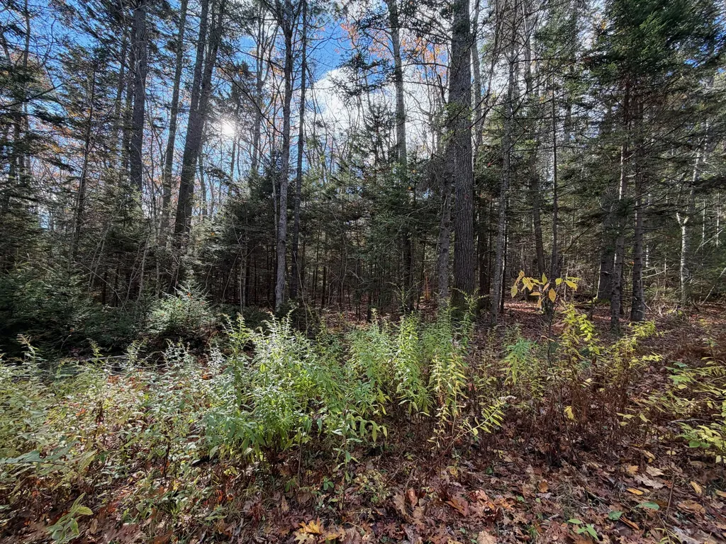 0 Lockhart Cove Road Bristol ME 04558
