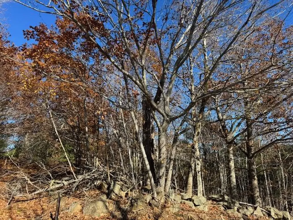 R12L50-1 Tolman Road Warren ME 04864