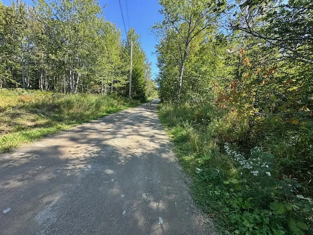 MAP1L431E Sally Mack Road Frankfort ME 04438