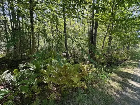 MAP1L431E Sally Mack Road Frankfort ME 04438