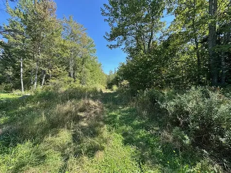 MAP1L431E Sally Mack Road Frankfort ME 04438