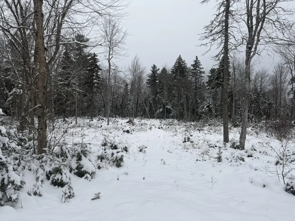 Lot 11 Sunset Hill Road Hancock ME 04640