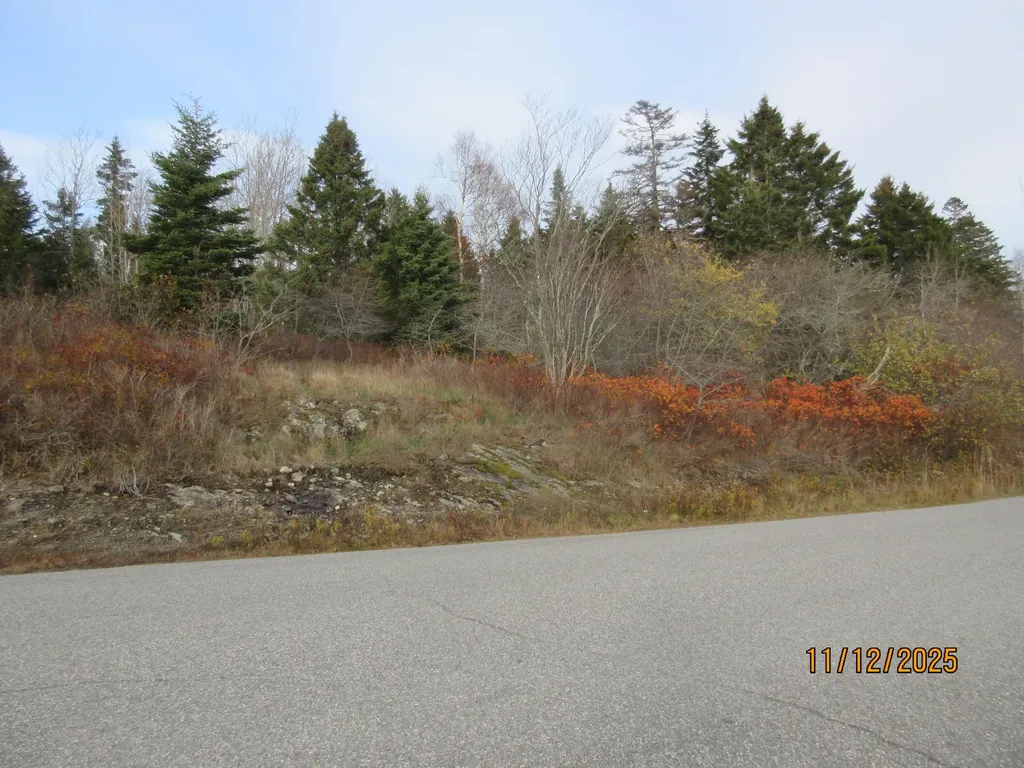 Lot 1 Smalls Point Road Machiasport ME 04655