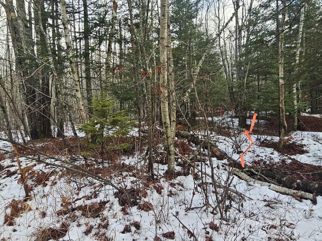 M2, L4 Off Sacarap Road Columbia ME 04623