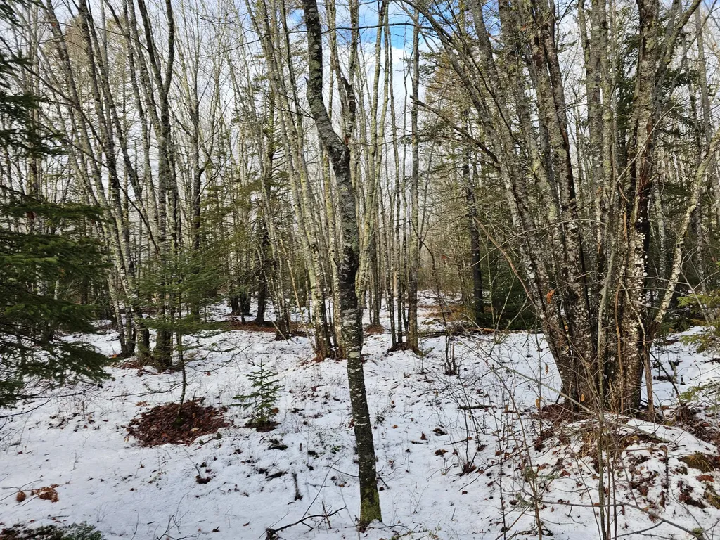 M2, L4 Off Sacarap Road Columbia ME 04623