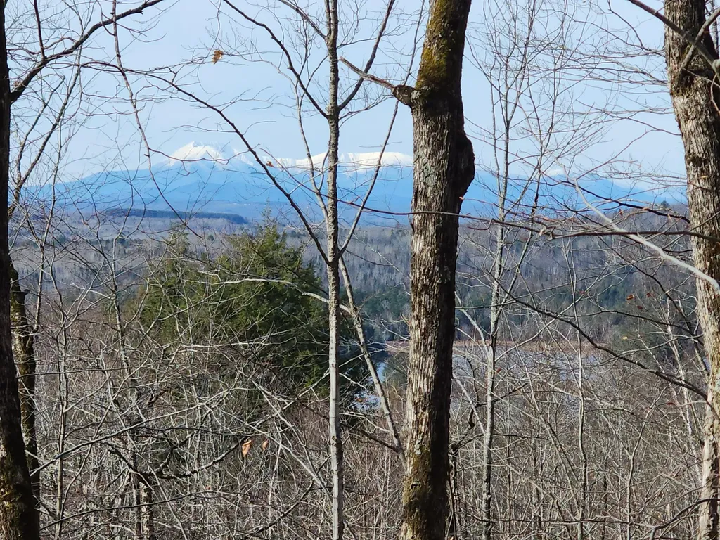 Lot 7 E Dow Farm Road Island Falls ME 04747