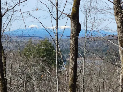 Lot 7 E Dow Farm Road Island Falls ME 04747