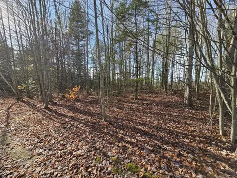 M5, L87-1 Main Street Palmyra ME 04965