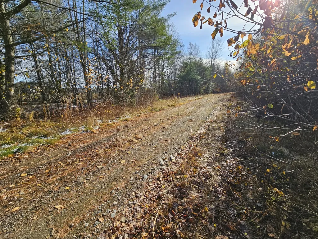 M5, L87-1 Main Street Palmyra ME 04965