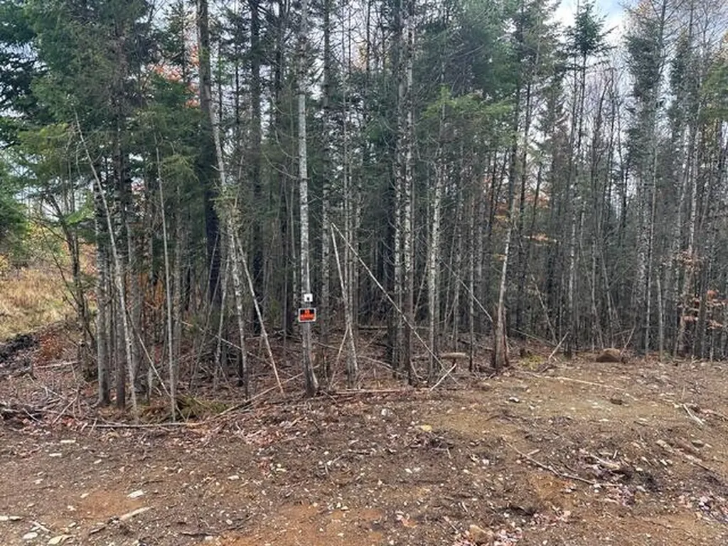 Lot ''N'' S Whitetail Way Greenville ME 04441