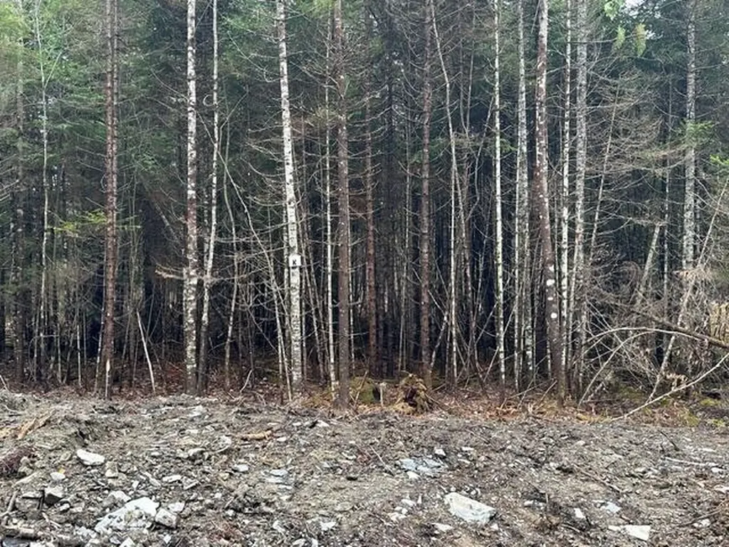 Lot ''N'' S Whitetail Way Greenville ME 04441